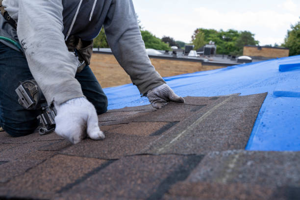 Best Local Roofing Companies  in Rouse, CA